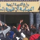 Essaouira, Levée de boucliers contre l’insécurité, l’incivisme et le déficit en équipements scolaires : Les protestations vont bon train à Essaouira, Abdelali khallad, Libération