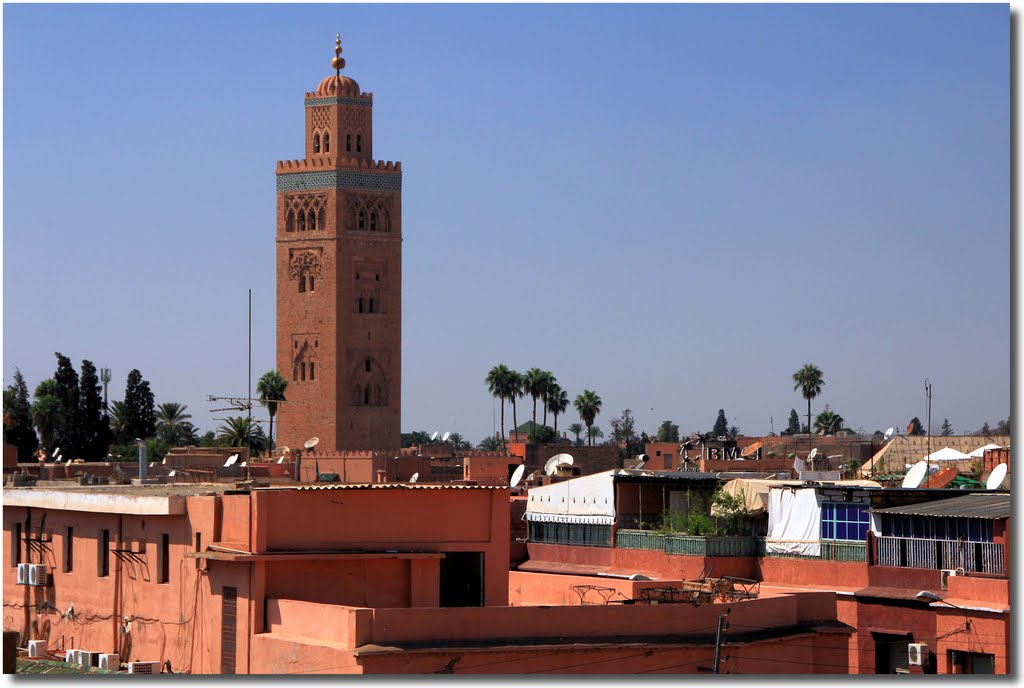 Over the roofs of Marrakesh